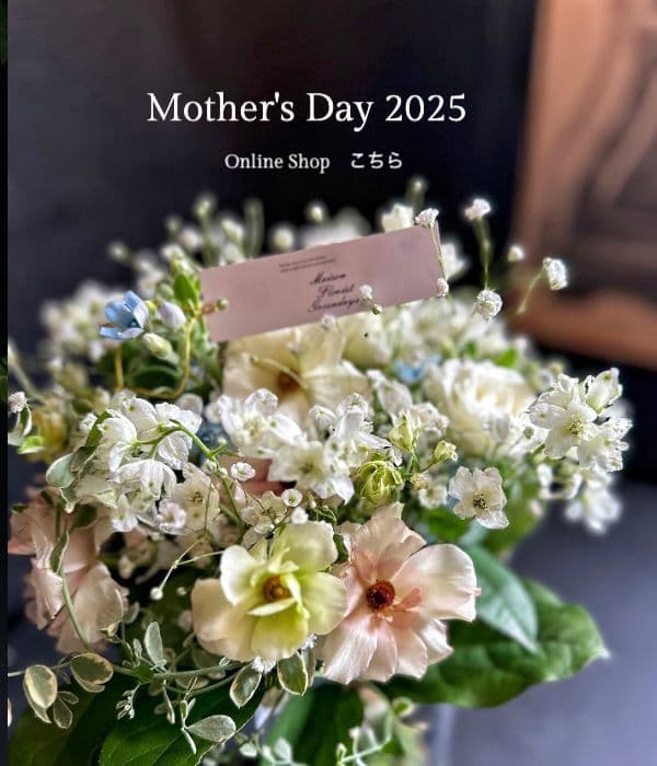 仙台花屋 Maison Florist Greendays Mother's Day 2025 / 母の日特設ページ 