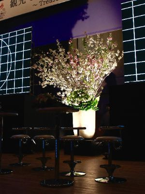 大きな桜のディスプレイ