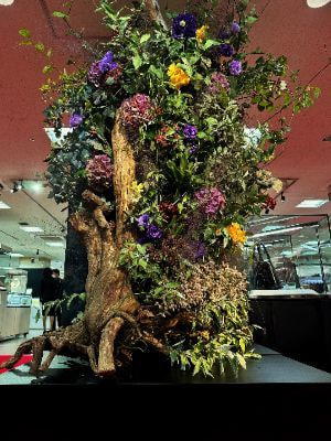 藤咲百貨店秋のイベント